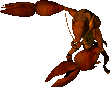 GiantCrayfish